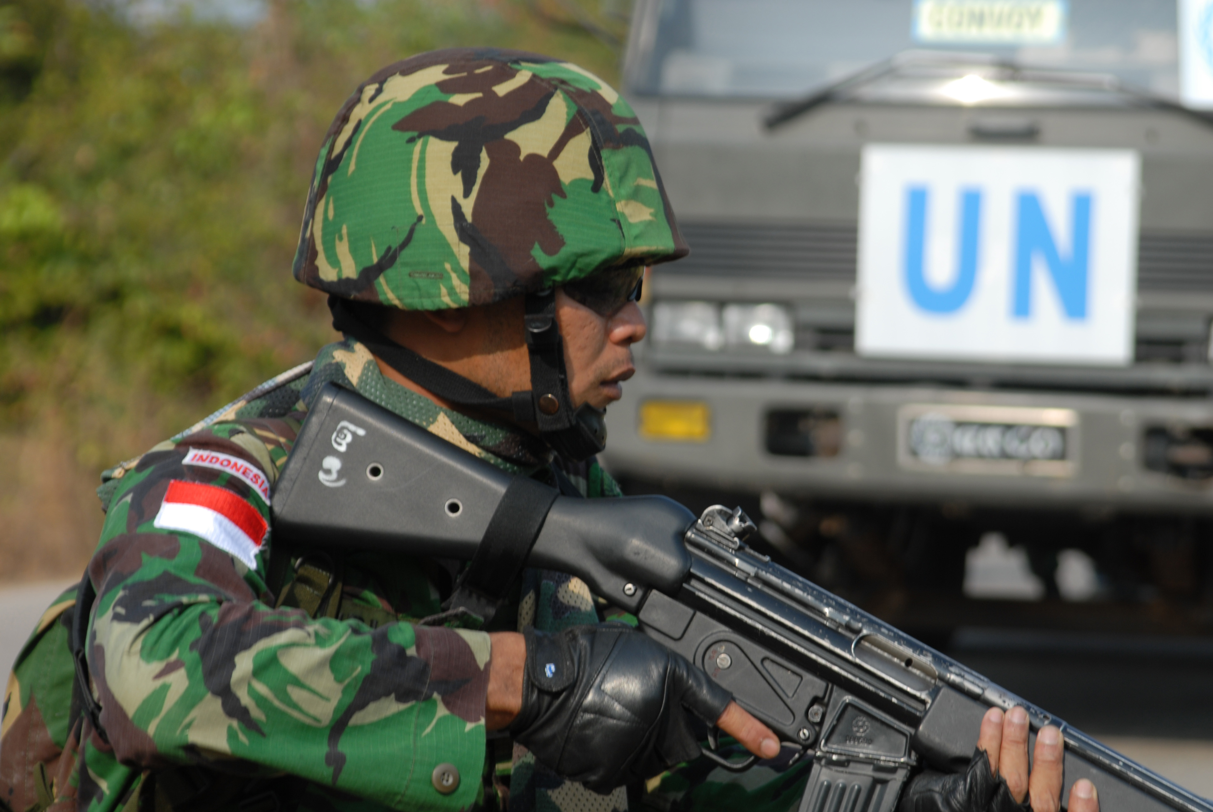 The Indonesian armed forces